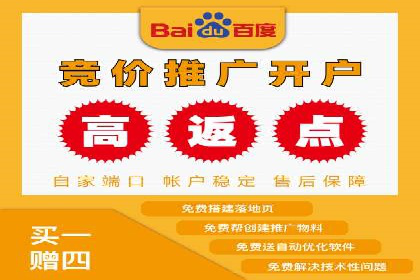 从零到一：企业如何通过百度竞价实现快速增长？——以某公司为例